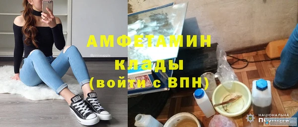 стафф Алзамай