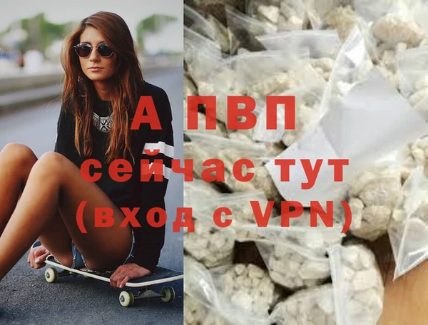 ешки Алексин