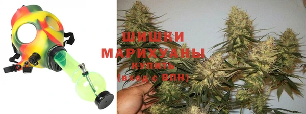 стафф Алзамай