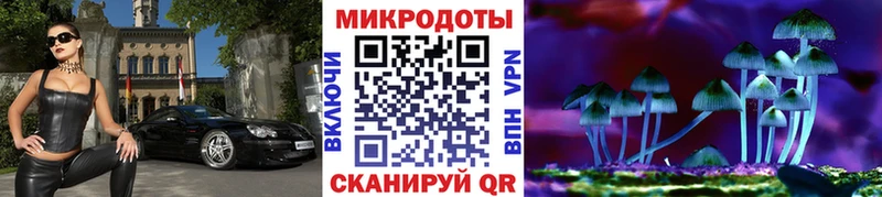 Псилоцибиновые грибы Cubensis  Купить где  Голицыно 